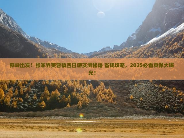 铁岭到张家界芙蓉镇四日游