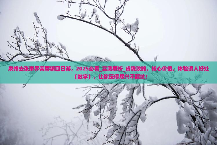 泉州去张家界芙蓉镇四日游