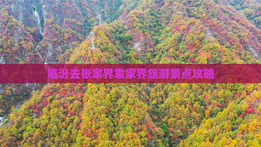 临汾去张家界袁家界团体旅游