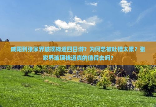 咸阳到张家界玻璃栈道四日游