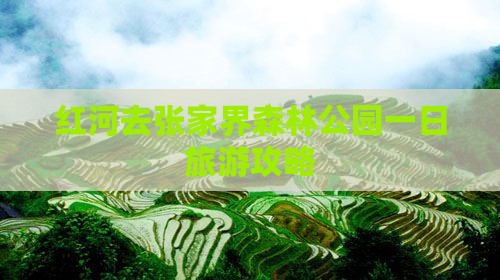 红河去张家界森林公园一日