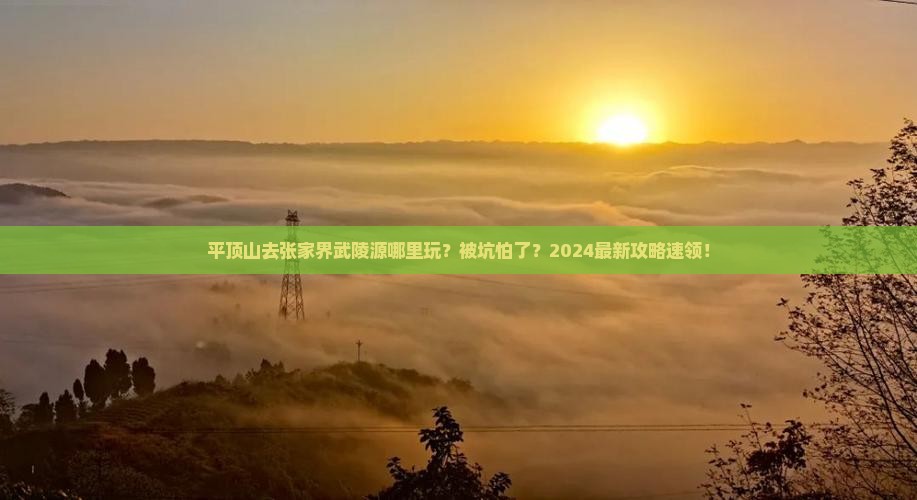 平顶山去张家界武陵源哪里玩