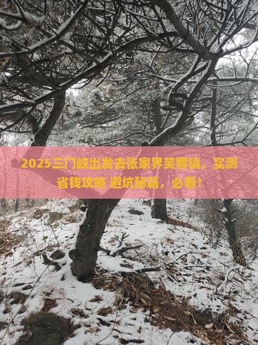 三门峡去张家界芙蓉镇攻略