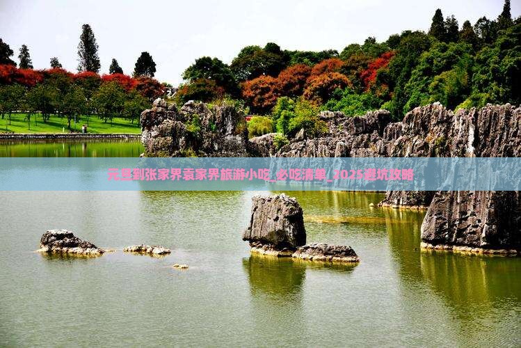 元旦到张家界袁家界旅游小吃