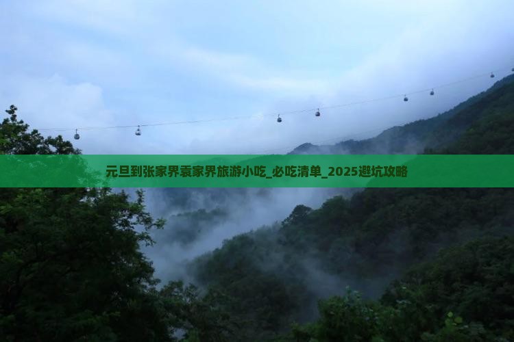 元旦到张家界袁家界旅游小吃