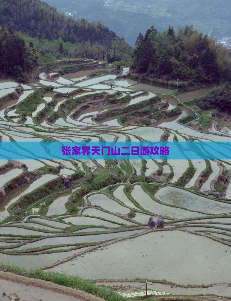 随州去张家界天门山二日游
