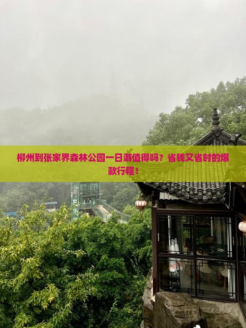柳州到张家界森林公园一日