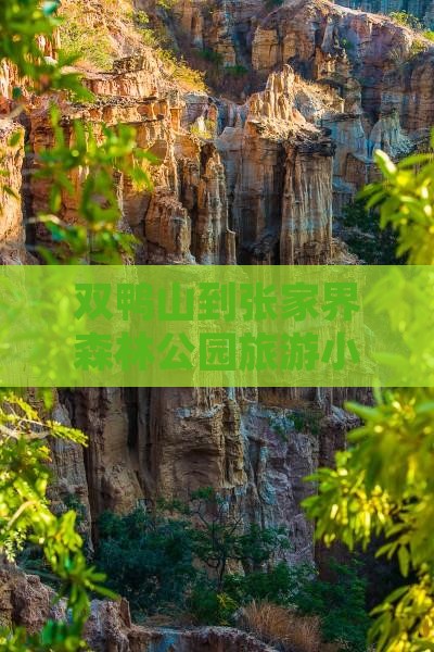 双鸭山到张家界森林公园旅游小吃