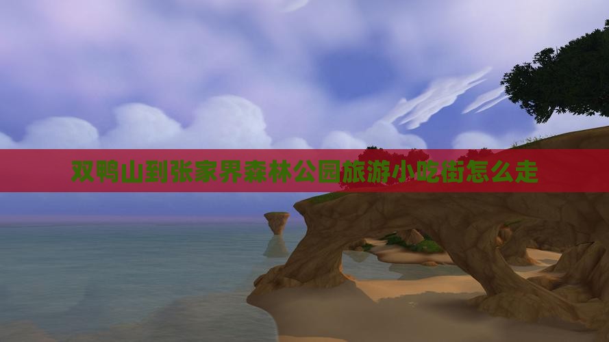 双鸭山到张家界森林公园旅游小吃
