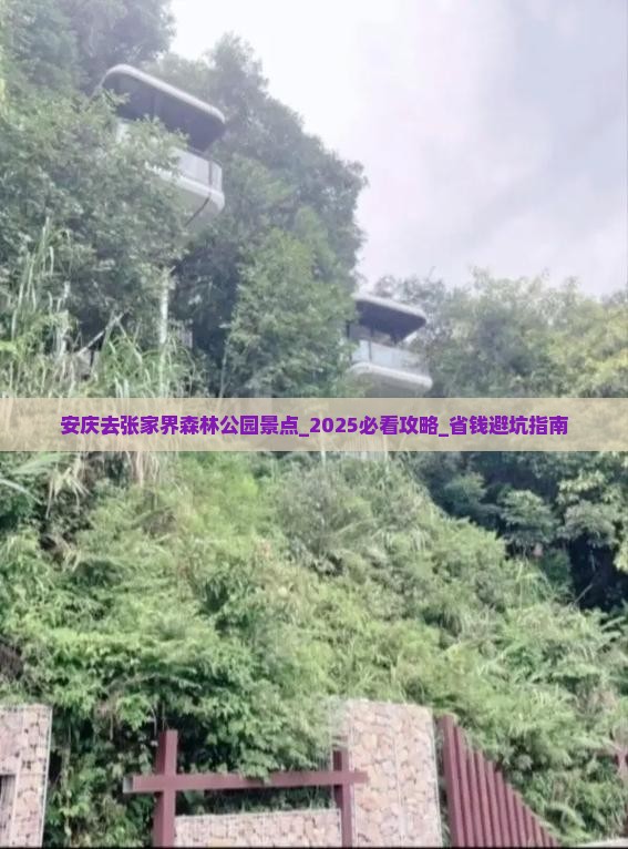 安庆去张家界森林公园景点