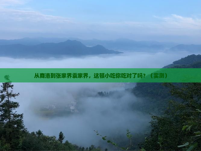 商洛去张家界袁家界旅游小吃