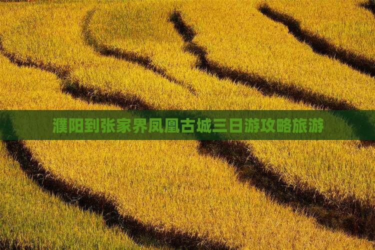 濮阳到张家界凤凰古城三日游