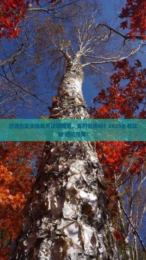 济源去张家界玻璃栈道一日
