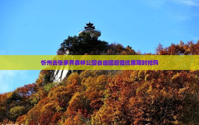 忻州去张家界森林公园自由团