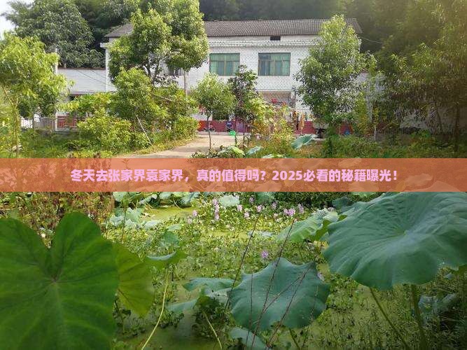 冬天去张家界袁家界景点