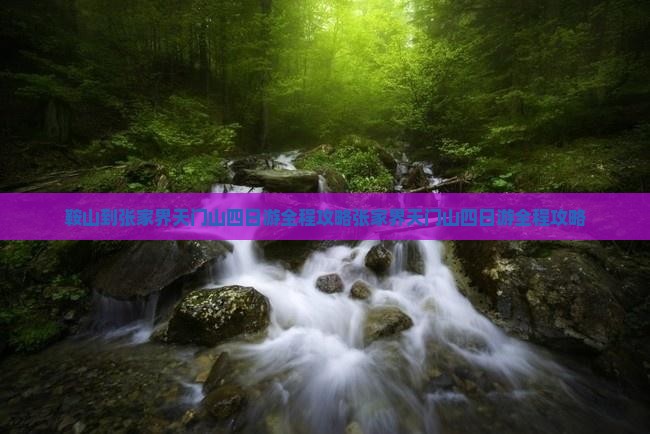 鞍山到张家界天门山四日游