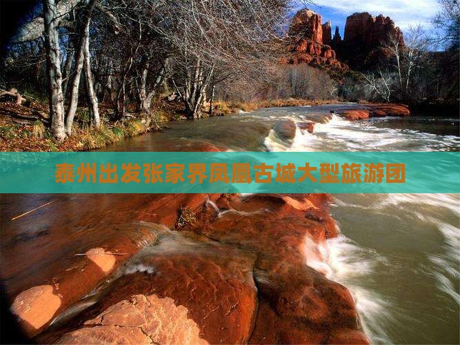 泰州去张家界凤凰古城大型旅游团