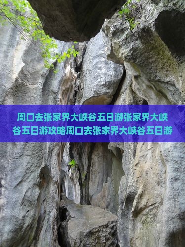 周口去张家界大峡谷五日游