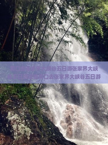 周口去张家界大峡谷五日游