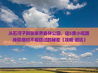 石河子到张家界森林公园旅游小吃