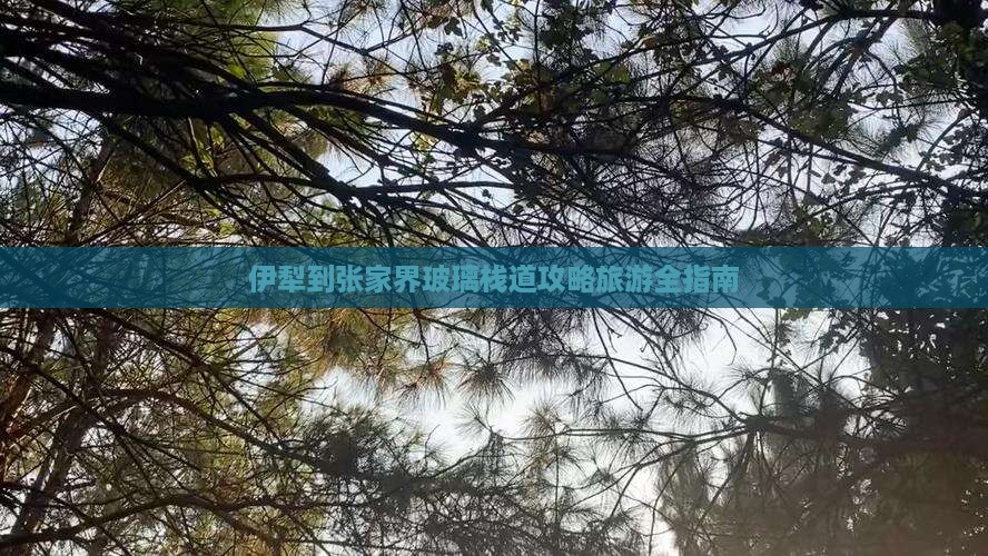 伊犁去张家界玻璃栈道自由团