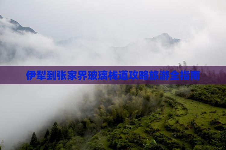 伊犁去张家界玻璃栈道自由团