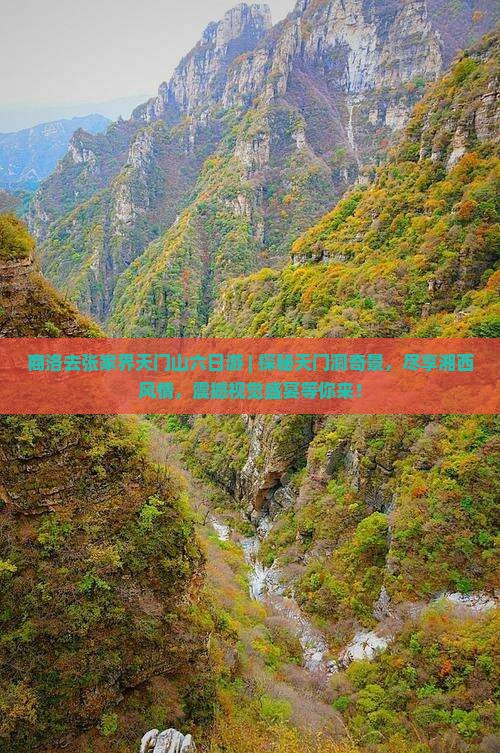 商洛去张家界天门山六日游 商洛去张家界天门山六日游