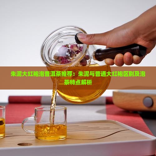 朱泥大红袍泡普洱茶推荐：朱泥与普通大红袍区别及泡茶特点解析