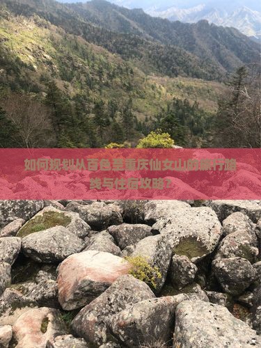 如何规划从百色至重庆仙女山的旅行路线与住宿攻略？