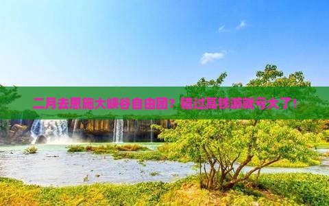 二月去恩施大峡谷自由团？错过高铁游就亏大了！