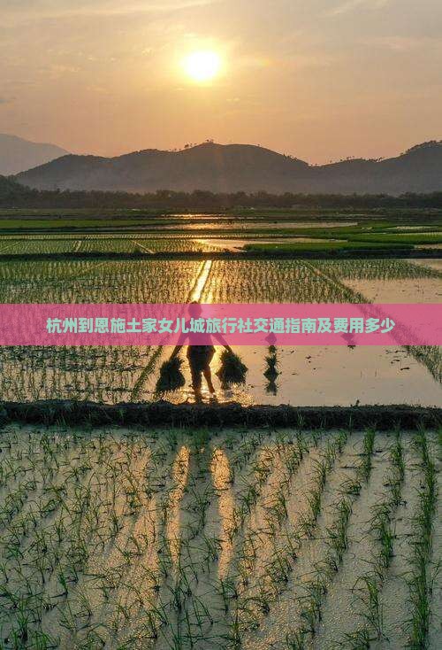 杭州到恩施土家女儿城旅行社交通指南及费用多少