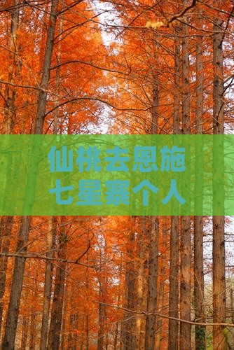 仙桃去恩施七星寨个人游自驾线路推荐