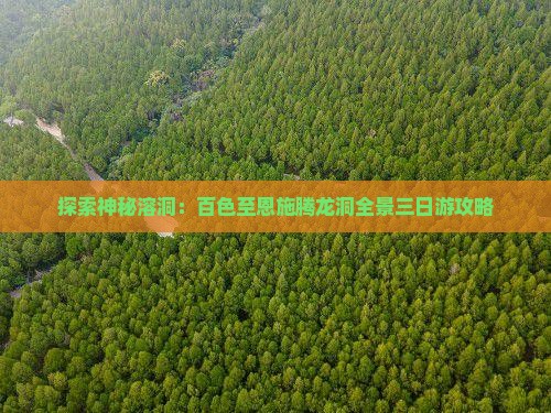 探索神秘溶洞：百色至恩施腾龙洞全景三日游攻略
