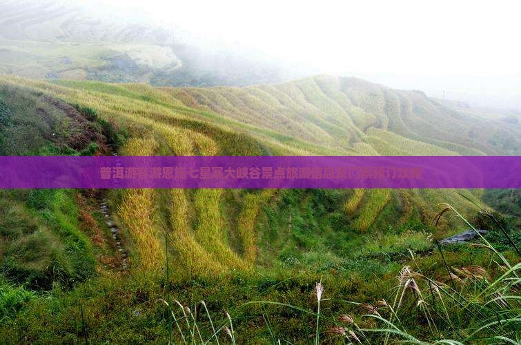 普洱游客游恩施七星寨大峡谷景点旅游信息及门票预订攻略
