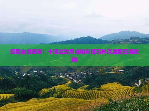 探索自然奇观：十堰出发恩施梭布垭石林深度四日游攻略