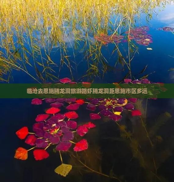 临沧去恩施腾龙洞旅游路虾腾龙洞距恩施市区多远