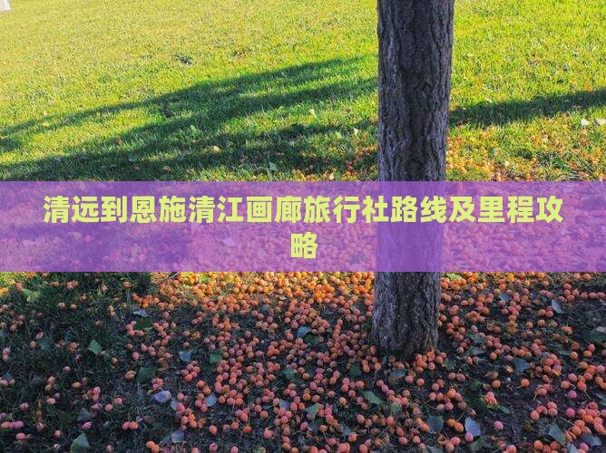 清远到恩施清江画廊旅行社路线及里程攻略
