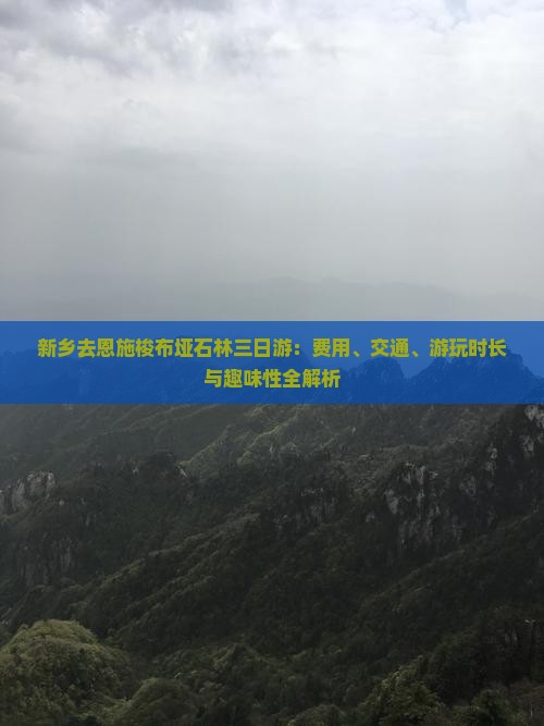 新乡去恩施梭布垭石林三日游：费用、交通、游玩时长与趣味性全解析