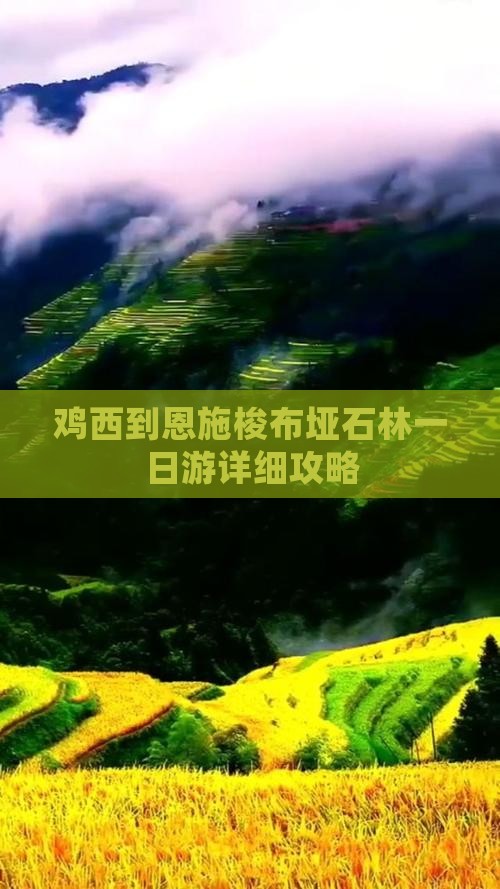 鸡西到恩施梭布垭石林一日游详细攻略