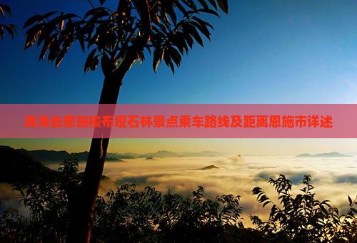 珠海去恩施梭布垭石林景点乘车路线及距离恩施市详述
