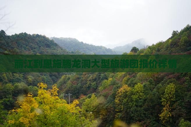 丽江到恩施腾龙洞大型旅游团报价详情