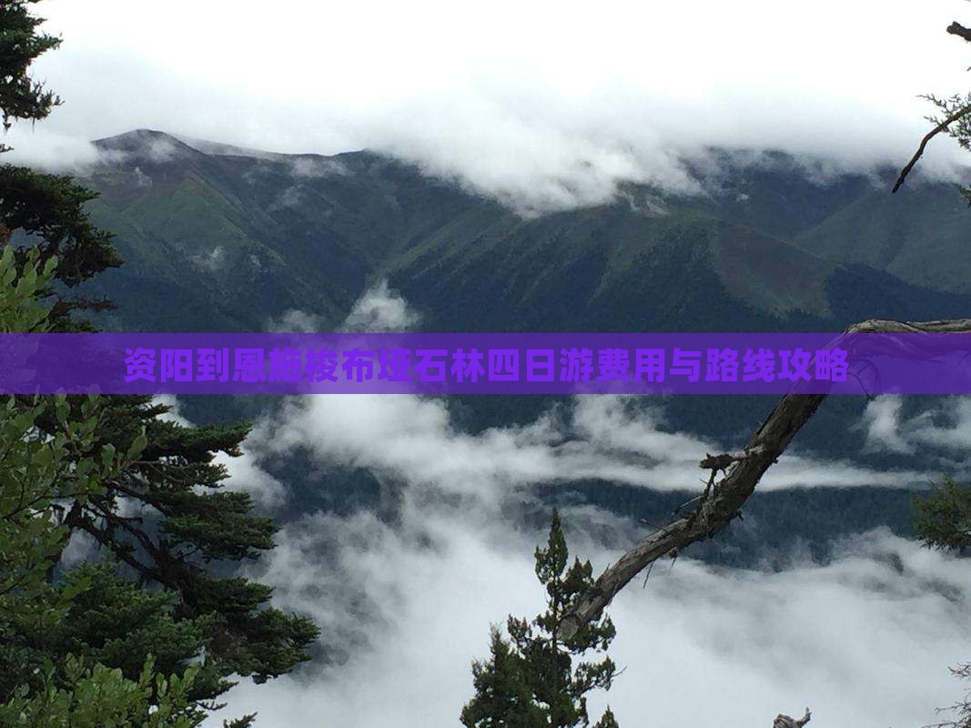 资阳到恩施梭布垭石林四日游费用与路线攻略