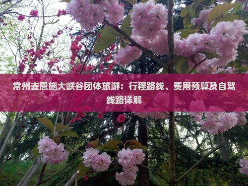常州去恩施大峡谷团体旅游：行程路线、费用预算及自驾线路详解