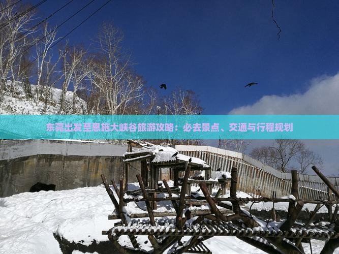 东莞出发至恩施大峡谷旅游攻略：必去景点、交通与行程规划