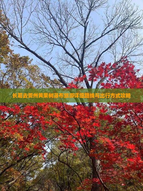 长葛去贵州黄果树瀑布旅游详细路线与出行方式攻略