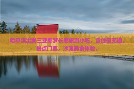 哈尔滨出发三亚椰梦长廊旅游小吃