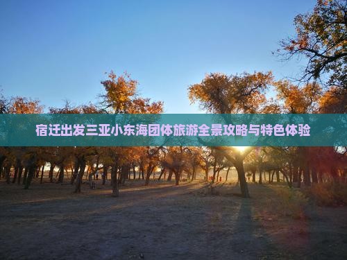 宿迁出发三亚小东海团体旅游全景攻略与特色体验