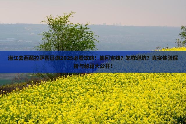 潜江去西藏拉萨四日游