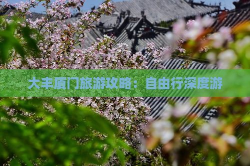 大丰厦门旅游攻略：自由行深度游