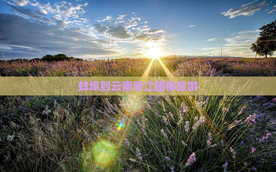 蚌埠到云南丽江团体旅游
